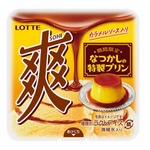 純喫茶のプリンをイメージ「爽 なつかしの特製プリン」