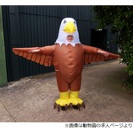 “鳥”になって迷惑カモメをやっつけろ！ 動物園が撃退係募集