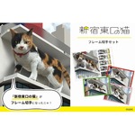 新宿東口の“飛び出す猫”“巨大3D猫”、フレーム切手セットに