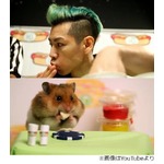 小林尊vsハムスター早食い対決、最強胃袋と最強頬袋の勝者は…？