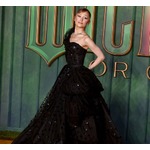 アリアナ・グランデ、映画イベントに乱入してきた“迷惑系YouTuber”に抱きつかれる