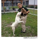 “特別な絆”想い合う2匹の犬、目を患ったパートナー咥えて連れ歩く。