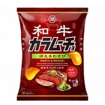 “わさびの辛味”×“和牛の旨み”の「和牛カラムーチョ 冴えるわさび」
