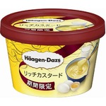 “濃厚カスタード”のハーゲン、ミルクと卵のコクが豊かなリッチな味わい。