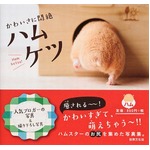 キュートな“ハムケツ”写真集、自然体のハムスターのお尻写真が満載。