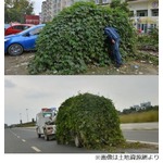 車放置してたら“もっさもさ”、中国の団地で撮影された写真が話題に。