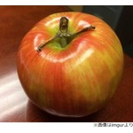 リンゴから“何か”が生まれてきた…