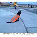 毎日登下校見守る15歳の黒猫、“挨拶”交わして子どもたちを笑顔に。