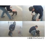 かわいい熊の“襲撃”動画が話題に、執拗な攻撃で足や腕をガブガブ。