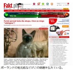 猫誘拐犯が1億円の身代金要求、飼い主は悲しむも「6万円程度の価値」。