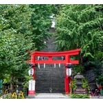 “ゲン担ぎしない”ファーストサマーウイカが「通い始めてから急激に売れた」神社