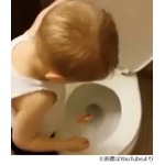 “金魚と別れ”トイレにジャー、水流に飲まれていくのを見つめる男の子。