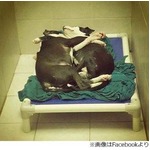 抱き合って眠る兄弟犬に反響、目が見えない1頭をもう1頭がサポート。