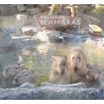 偶然から始まった“元祖”カピバラの露天風呂