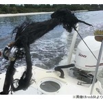 雷に打たれた釣竿が壮絶すぎる