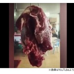 “ピクピク動く肉の塊”が話題