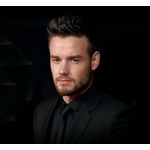 転落死の元1Dリアム・ペイン、レコード会社契約打ち切りに「傷ついていた」