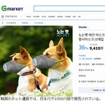 韓国で流行る“犬用マスク”、効果には賛否も…