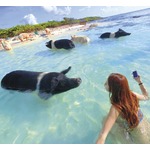“インスタ女子”写真撮影の実態とホンネ
