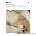 浜辺美波の公式インスタ消えた…「お騒がせしております」意図的に削除したわけではない