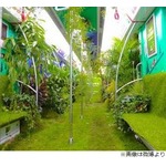 植物で覆われた“森の地下鉄”が話題に