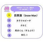 JS研究所が調査、イマドキ高学年JSが夢中になる“推し活”トレンド