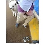 スマホの発熱でズボン燃える、路上でパンツ姿の男性をわんこも心配。