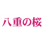2013年大河ドラマは「八重の桜」、主演は大河初出演の綾瀬はるかに。