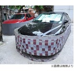 中国で奇妙な車体カバー“ロングスカート”流行