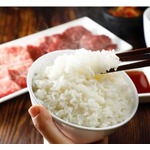 焼肉ライク、おかわり自由の“無限新米ごはん”実施