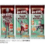 板チョコ入り数量限定「シン・ガリガリ君ウルトラチョコミント」