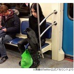 電車内の“膝にカラスのせたゴス女性”に騒然