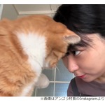 アンゴラ村長、愛猫・菊次郎との間で“最近流行ってる遊び”に「かわいい！」続々