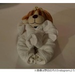 ディズニー大好き野呂佳代「私も“ぬい活”やってるんです」