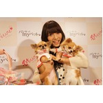 愛犬家のAKB高城が新ブランド、メンバーや家族に相談しながら立ち上げ。