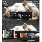 TV画面でニコニコ視聴可能に、「ビエラ」と「ブラビア」にアプリ提供。