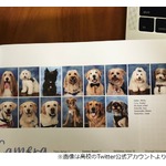 卒業アルバムに“14匹の犬”、その理由は…