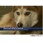 愛犬が大けがの飼い主を救う、“人生最大の危機”に献身的な行動。