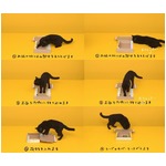 黒猫の箱組み立て“おしい”集、クロネコヤマト大人気動画のNGたっぷり。