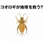 無印良品が“昆虫食”参戦、「コオロギせんべい」発売へ