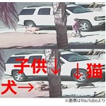 にゃんこが子供襲った犬撃退、疾風のように現れ全身使って攻撃。