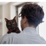 猫は“男性の飼い主”により騒がしくなる、女性のほうが猫との会話に長けている可能性