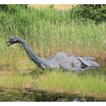 “2つのコブ”を持つ謎の生物、ネス湖で目撃され話題「唯一の可能性はネッシーです」