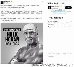 ハルク・ホーガンさん急逝、WWE追悼「ポップカルチャーにおいて最も象徴的な人物の1人」