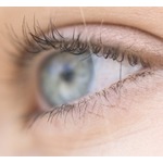 失明からの“視力回復”可能に、画期的な目のインプラントが登場