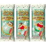 日本ならではのチョコミント「ガリガリ君リッチ革新のチョコミント」発売
