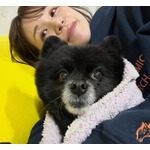はんにゃ.川島と離婚した元妻・菜月さん、離れて暮らす愛犬との“定期面会”叶う