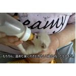 「汚い仔猫見つけた」に大反響、2ちゃん有名コピペの通り手厚く保護。