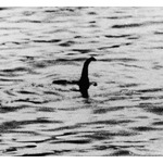 ネッシー、第二次世界大戦中に“イギリス海軍が捕獲した可能性”浮上