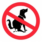 犬のフン片付けないのは誰だ？ アパート管理人が住民に犬のDNA提出求める。